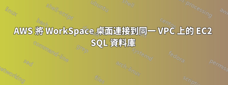 AWS 將 WorkSpace 桌面連接到同一 VPC 上的 EC2 SQL 資料庫