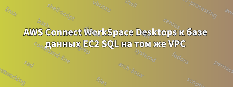 AWS Connect WorkSpace Desktops к базе данных EC2 SQL на том же VPC