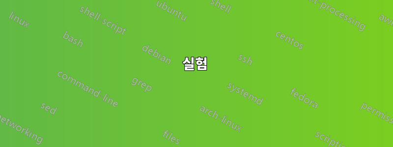 실험