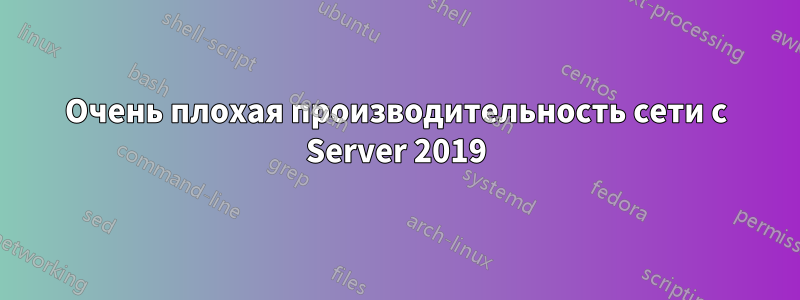 Очень плохая производительность сети с Server 2019