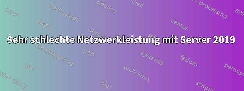 Sehr schlechte Netzwerkleistung mit Server 2019