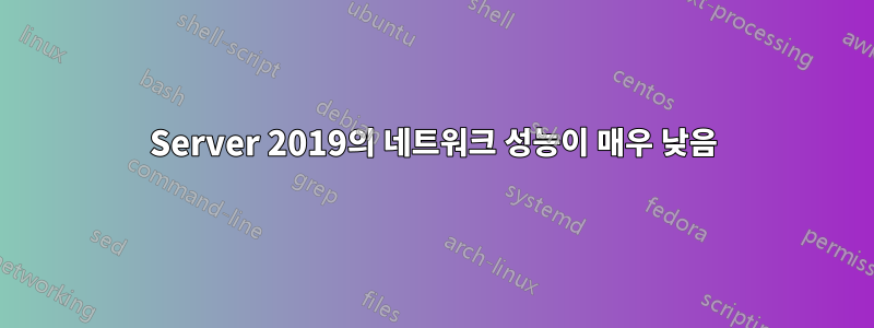 Server 2019의 네트워크 성능이 매우 낮음