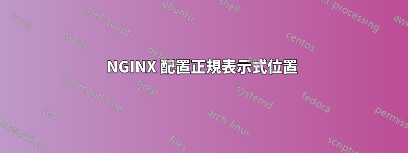 NGINX 配置正規表示式位置
