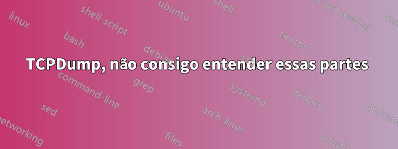 TCPDump, não consigo entender essas partes