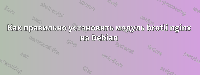 Как правильно установить модуль brotli nginx на Debian