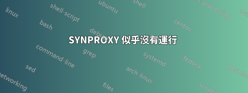 SYNPROXY 似乎沒有運行