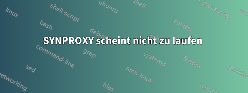 SYNPROXY scheint nicht zu laufen