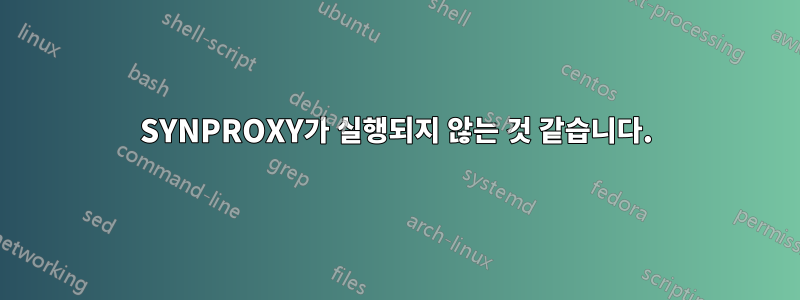 SYNPROXY가 실행되지 않는 것 같습니다.