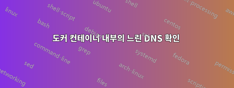 도커 컨테이너 내부의 느린 DNS 확인