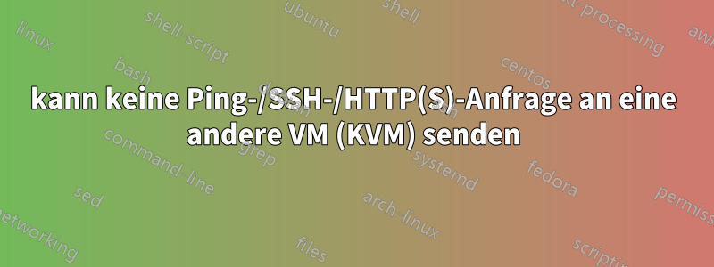 kann keine Ping-/SSH-/HTTP(S)-Anfrage an eine andere VM (KVM) senden