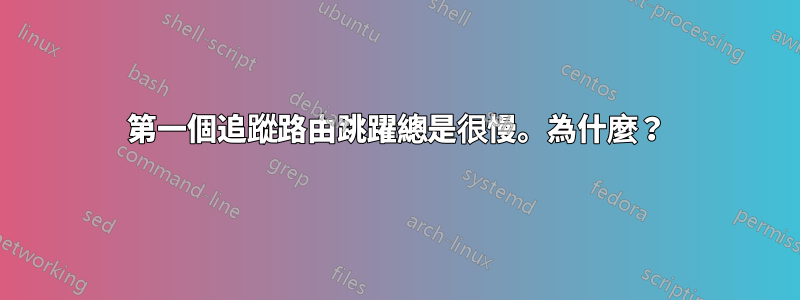 第一個追蹤路由跳躍總是很慢。為什麼？