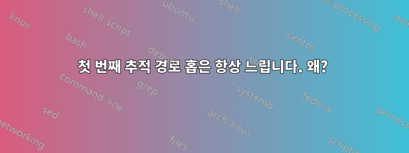 첫 번째 추적 경로 홉은 항상 느립니다. 왜?
