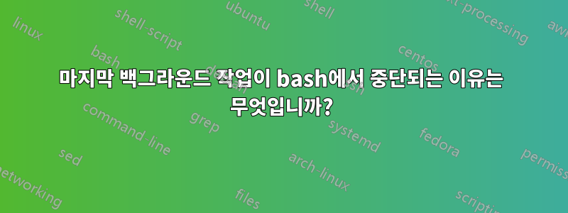 마지막 백그라운드 작업이 bash에서 중단되는 이유는 무엇입니까?