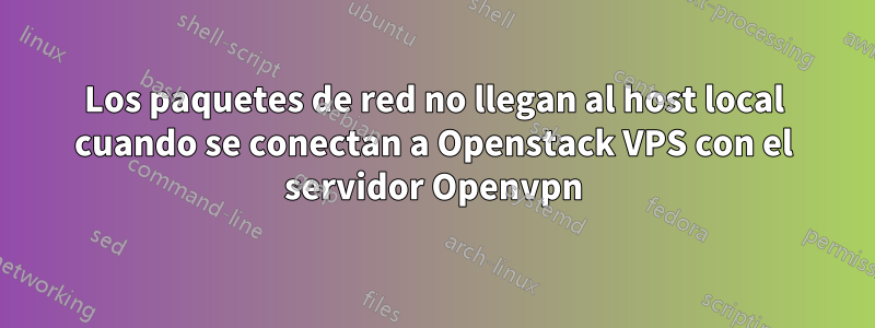 Los paquetes de red no llegan al host local cuando se conectan a Openstack VPS con el servidor Openvpn