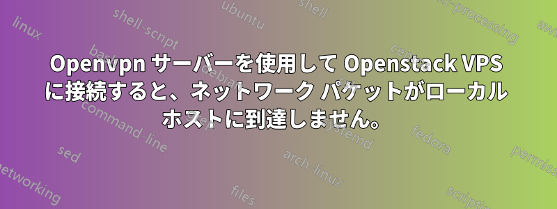 Openvpn サーバーを使用して Openstack VPS に接続すると、ネットワーク パケットがローカル ホストに到達しません。
