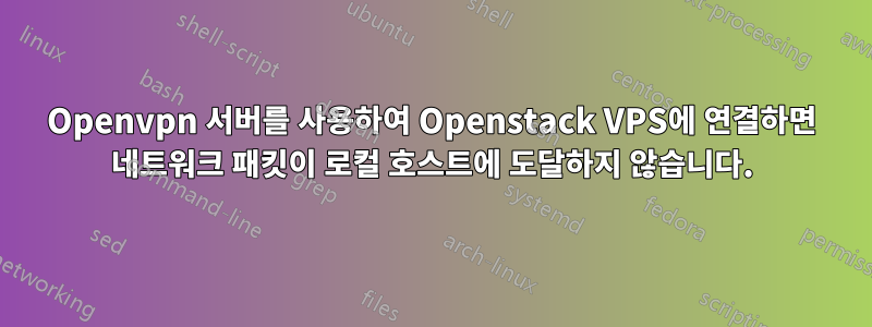 Openvpn 서버를 사용하여 Openstack VPS에 연결하면 네트워크 패킷이 로컬 호스트에 도달하지 않습니다.