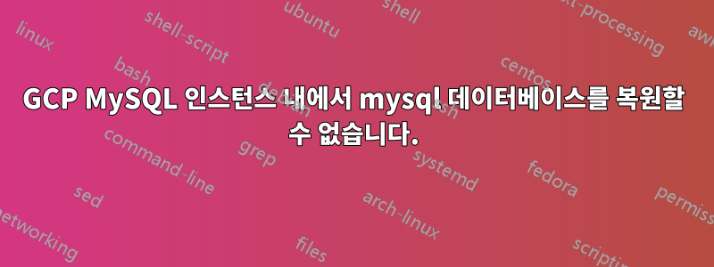 GCP MySQL 인스턴스 내에서 mysql 데이터베이스를 복원할 수 없습니다.
