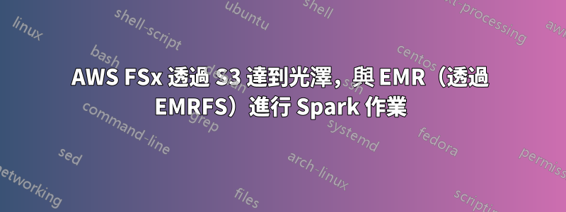 AWS FSx 透過 S3 達到光澤，與 EMR（透過 EMRFS）進行 Spark 作業