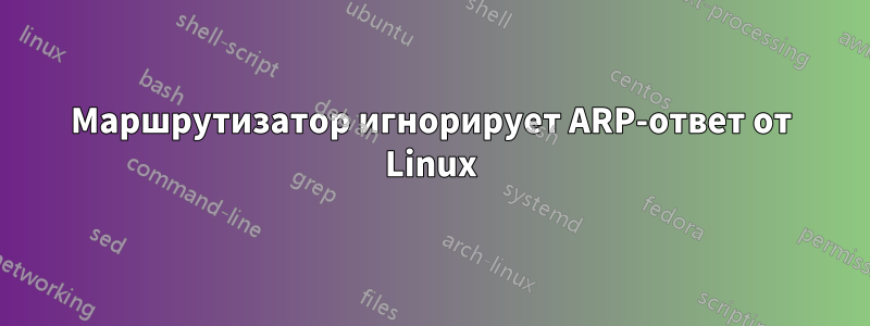 Маршрутизатор игнорирует ARP-ответ от Linux
