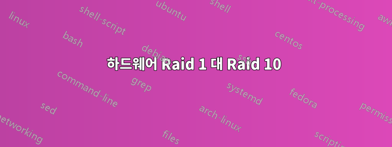 하드웨어 Raid 1 대 Raid 10