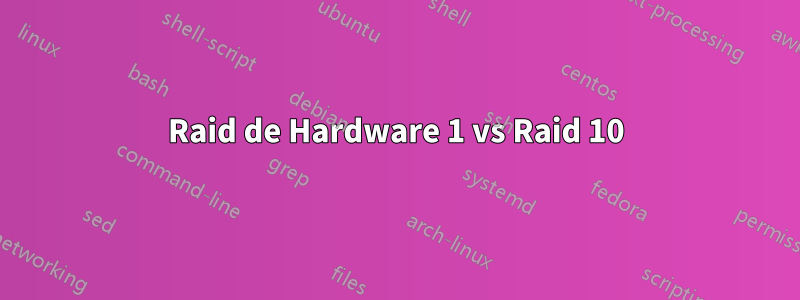 Raid de Hardware 1 vs Raid 10