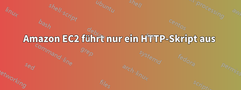 Amazon EC2 führt nur ein HTTP-Skript aus
