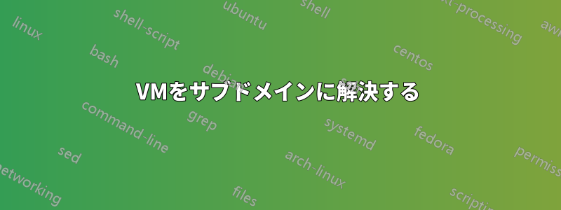 VMをサブドメインに解決する