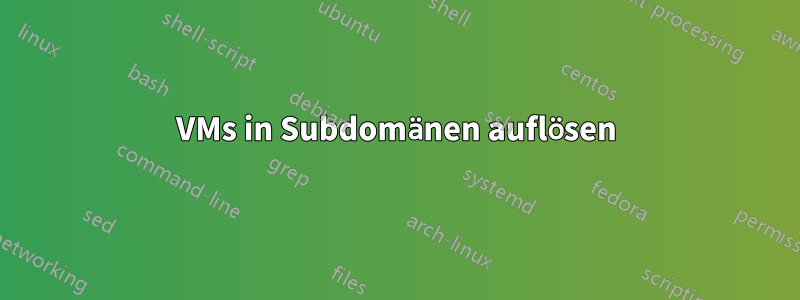 VMs in Subdomänen auflösen