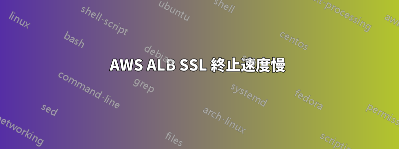 AWS ALB SSL 終止速度慢