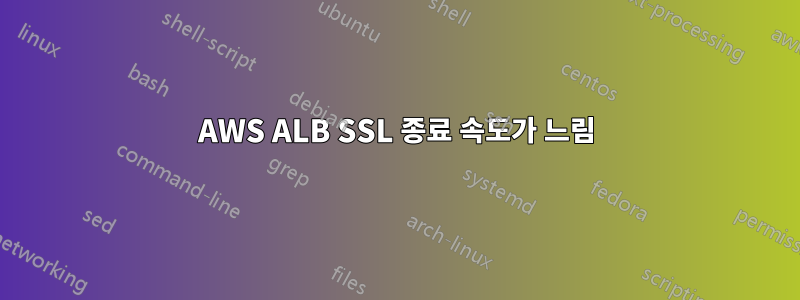 AWS ALB SSL 종료 속도가 느림