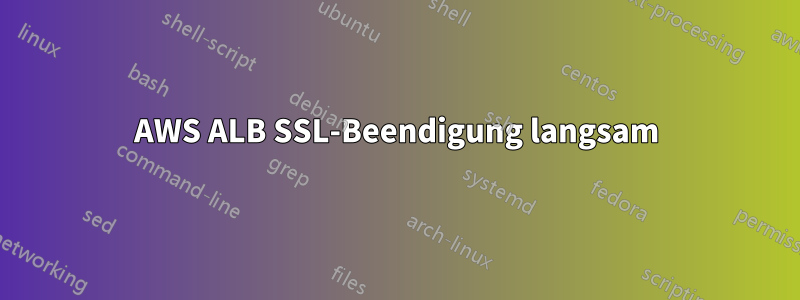 AWS ALB SSL-Beendigung langsam