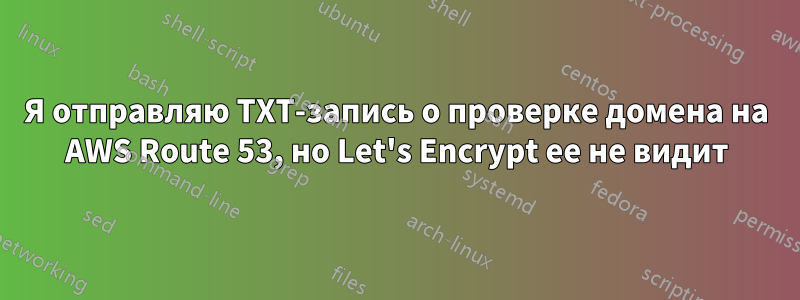Я отправляю TXT-запись о проверке домена на AWS Route 53, но Let's Encrypt ее не видит