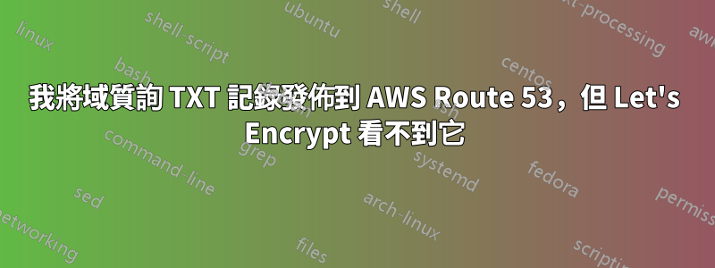 我將域質詢 TXT 記錄發佈到 AWS Route 53，但 Let's Encrypt 看不到它