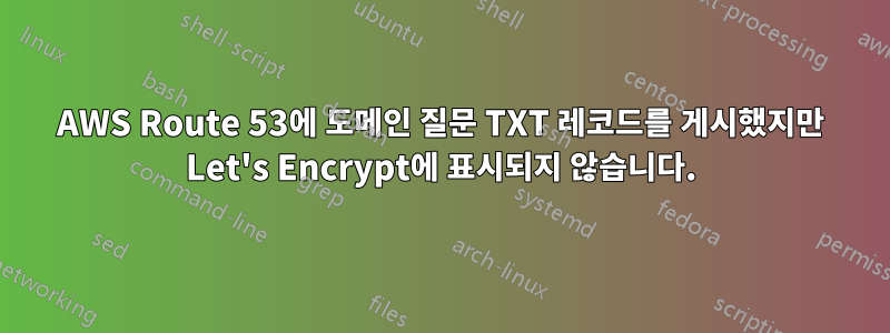 AWS Route 53에 도메인 질문 TXT 레코드를 게시했지만 Let's Encrypt에 표시되지 않습니다.