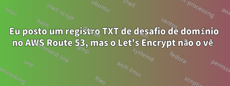 Eu posto um registro TXT de desafio de domínio no AWS Route 53, mas o Let's Encrypt não o vê