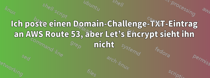 Ich poste einen Domain-Challenge-TXT-Eintrag an AWS Route 53, aber Let’s Encrypt sieht ihn nicht