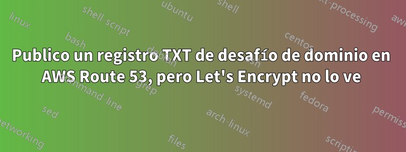 Publico un registro TXT de desafío de dominio en AWS Route 53, pero Let's Encrypt no lo ve