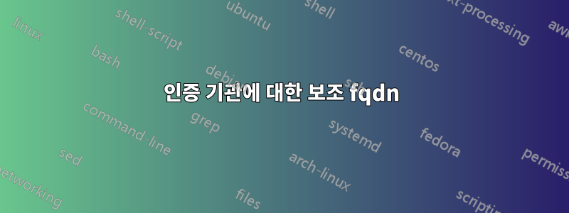 인증 기관에 대한 보조 fqdn