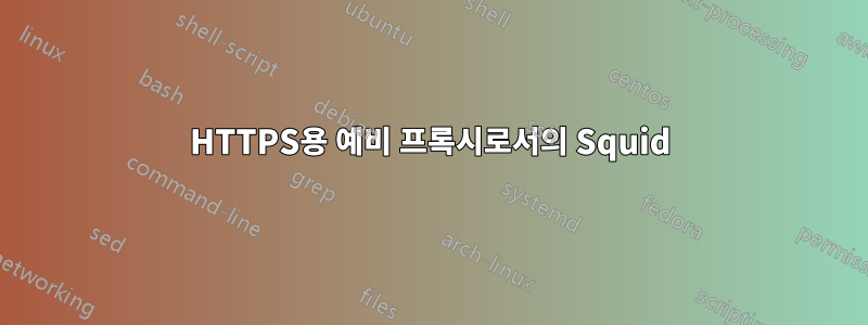 HTTPS용 예비 프록시로서의 Squid