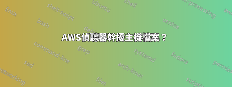 AWS偵聽器幹擾主機檔案？
