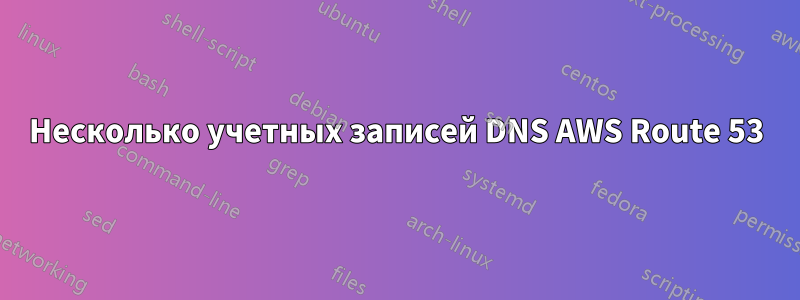Несколько учетных записей DNS AWS Route 53