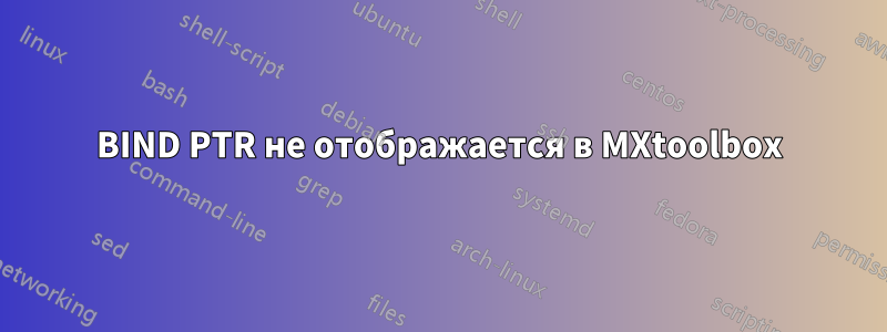 BIND PTR не отображается в MXtoolbox