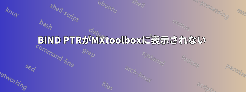 BIND PTRがMXtoolboxに表示されない