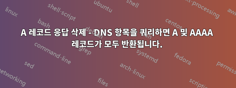 A 레코드 응답 삭제 - DNS 항목을 쿼리하면 A 및 AAAA 레코드가 모두 반환됩니다.