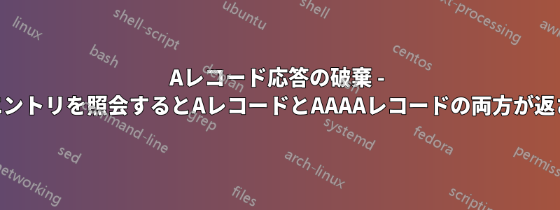 Aレコード応答の破棄 - DNSエントリを照会するとAレコードとAAAAレコードの両方が返される