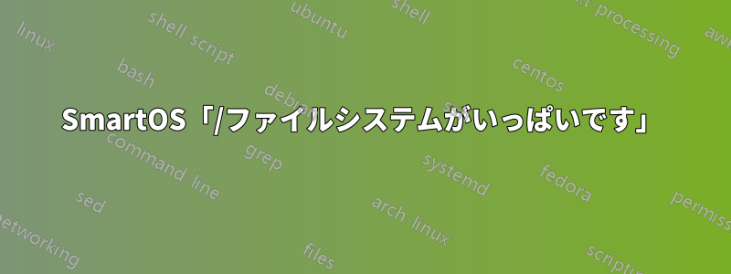 SmartOS「/ファイルシステムがいっぱいです」