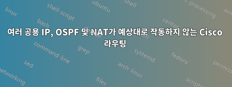 여러 공용 IP, OSPF 및 NAT가 예상대로 작동하지 않는 Cisco 라우팅