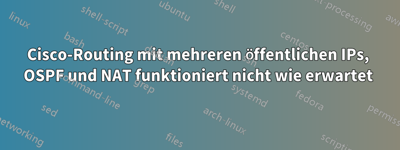 Cisco-Routing mit mehreren öffentlichen IPs, OSPF und NAT funktioniert nicht wie erwartet