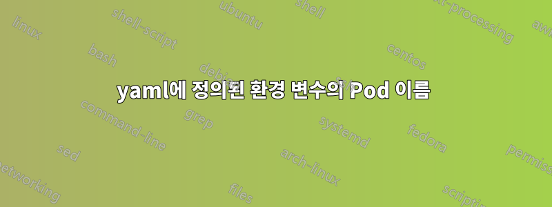 yaml에 정의된 환경 변수의 Pod 이름
