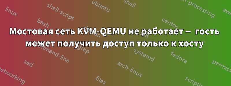 Мостовая сеть KVM-QEMU не работает — гость может получить доступ только к хосту